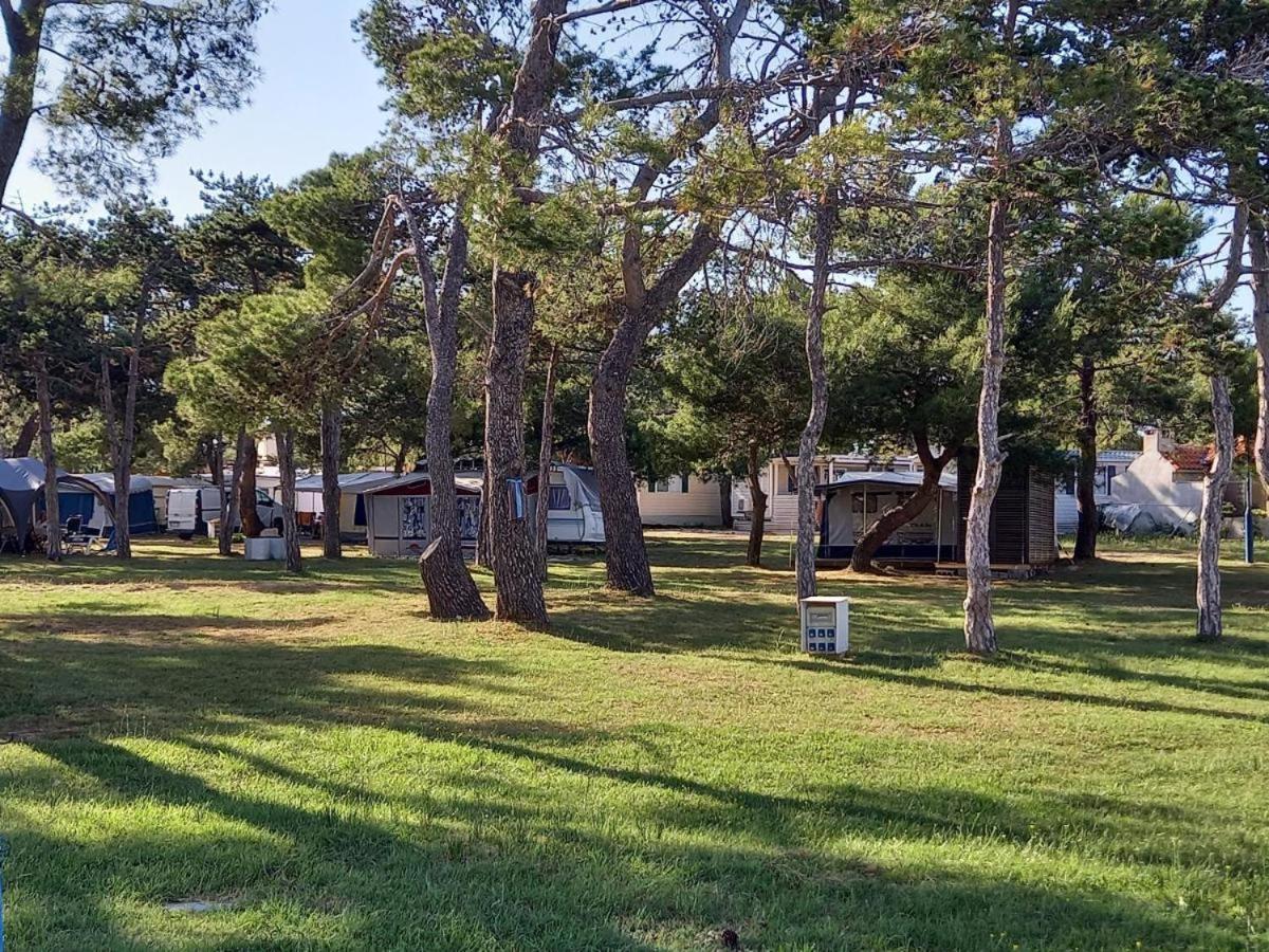 Sand & Relax Privlaka - Mobile Home Gloria 외부 사진